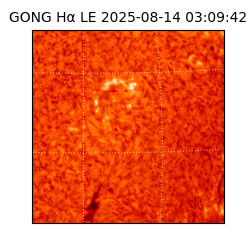 gong - 2025-08-14T03:09:42