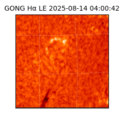 gong - 2025-08-14T04:00:42