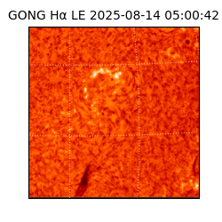 gong - 2025-08-14T05:00:42