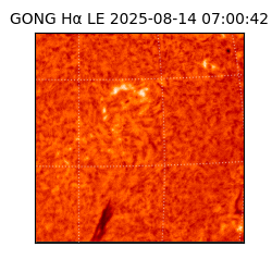 gong - 2025-08-14T07:00:42