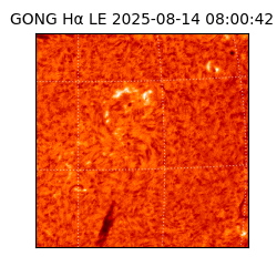 gong - 2025-08-14T08:00:42