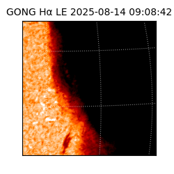 gong - 2025-08-14T09:08:42