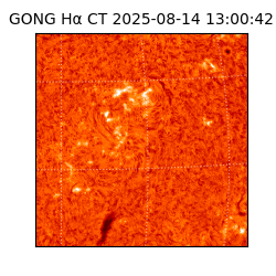 gong - 2025-08-14T13:00:42