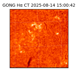 gong - 2025-08-14T15:00:42