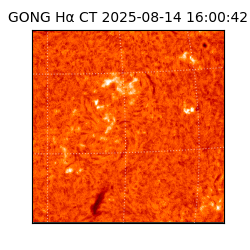 gong - 2025-08-14T16:00:42