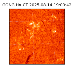 gong - 2025-08-14T19:00:42