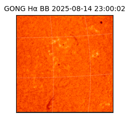 gong - 2025-08-14T23:00:02