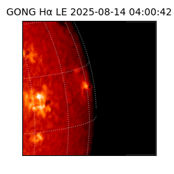 gong - 2025-08-14T04:00:42