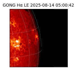 gong - 2025-08-14T05:00:42