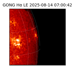 gong - 2025-08-14T07:00:42