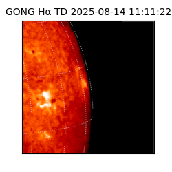 gong - 2025-08-14T11:11:22