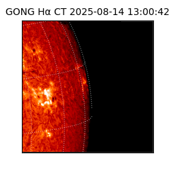 gong - 2025-08-14T13:00:42