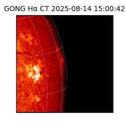 gong - 2025-08-14T15:00:42