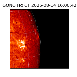 gong - 2025-08-14T16:00:42