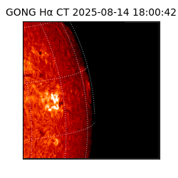 gong - 2025-08-14T18:00:42