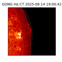 gong - 2025-08-14T19:00:42