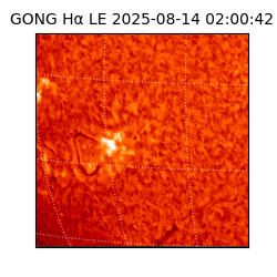 gong - 2025-08-14T02:00:42