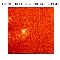 gong - 2025-08-14T03:09:42