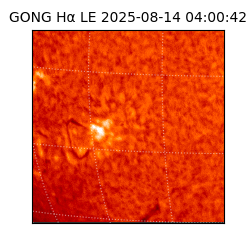 gong - 2025-08-14T04:00:42