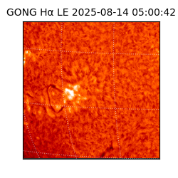 gong - 2025-08-14T05:00:42