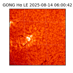 gong - 2025-08-14T06:00:42