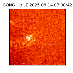 gong - 2025-08-14T07:00:42