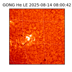 gong - 2025-08-14T08:00:42