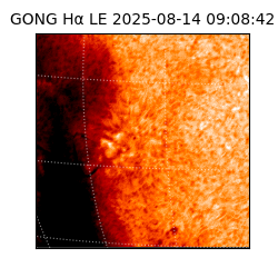 gong - 2025-08-14T09:08:42