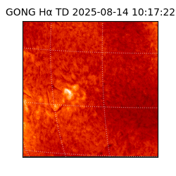 gong - 2025-08-14T10:17:22