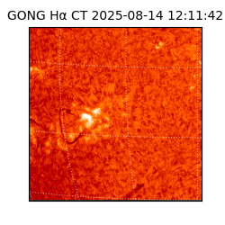 gong - 2025-08-14T12:11:42
