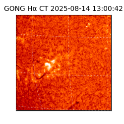 gong - 2025-08-14T13:00:42