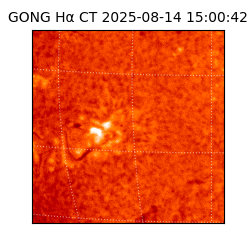 gong - 2025-08-14T15:00:42