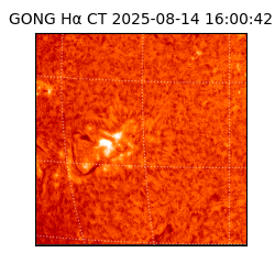 gong - 2025-08-14T16:00:42