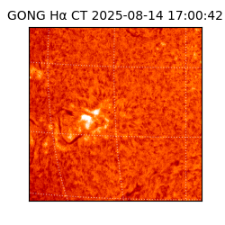 gong - 2025-08-14T17:00:42