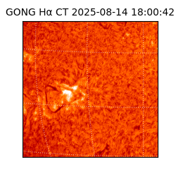 gong - 2025-08-14T18:00:42