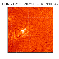 gong - 2025-08-14T19:00:42