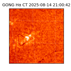 gong - 2025-08-14T21:00:42