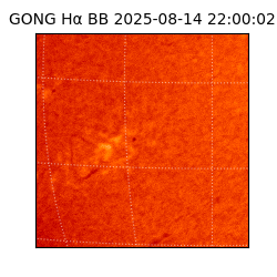 gong - 2025-08-14T22:00:02