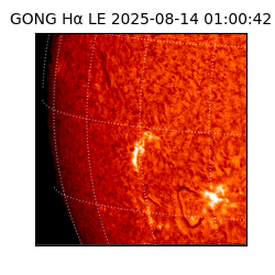 gong - 2025-08-14T01:00:42