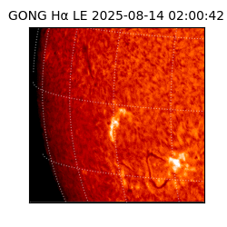 gong - 2025-08-14T02:00:42