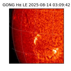 gong - 2025-08-14T03:09:42