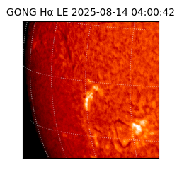 gong - 2025-08-14T04:00:42