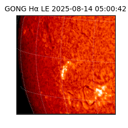 gong - 2025-08-14T05:00:42