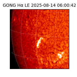 gong - 2025-08-14T06:00:42