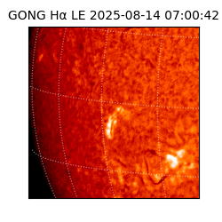 gong - 2025-08-14T07:00:42