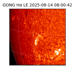 gong - 2025-08-14T08:00:42