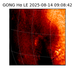 gong - 2025-08-14T09:08:42