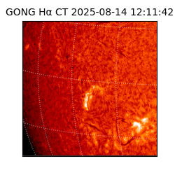 gong - 2025-08-14T12:11:42