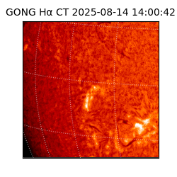 gong - 2025-08-14T14:00:42