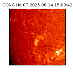 gong - 2025-08-14T15:00:42